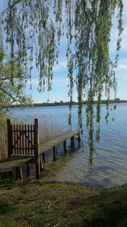 Ferienhaus Am Schaalsee Zarrentin am Schaalsee Dış mekan fotoğraf